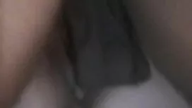 Tre lungo grande mul ...